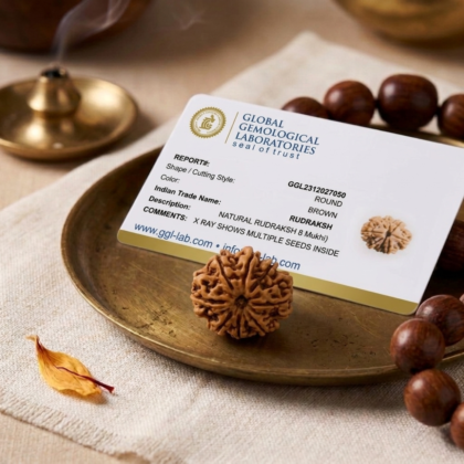 Authentic 8 Mukhi Nepali Rudraksha bead with eight distinct natural grooves and a high-quality dark brown finish from lakshya gems mumbai