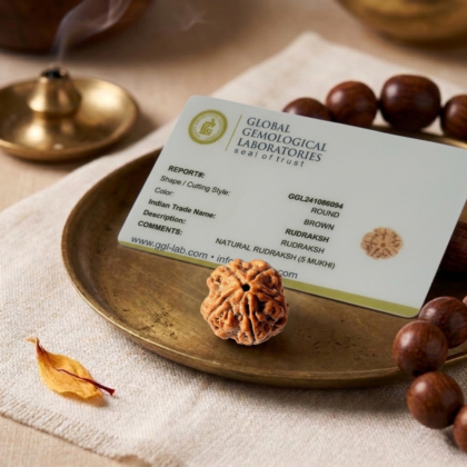 Authentic 5 Mukhi Nepali Rudraksha bead with five deep natural grooves and a robust, thorny texture from lakshya gems mumbai