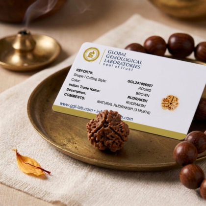 Authentic 3 Mukhi Nepali Rudraksha bead with three distinct natural grooves and a rich dark brown finish from lakshya gems mumbai