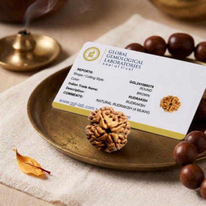 Authentic 4 Mukhi Nepali Rudraksha bead with four distinct natural grooves and a high-quality dark brown finish from lakshya gems mumbai