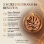 benefits of Rudraksh