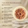 benefit of Rudraksh