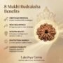 Benefits of Rudraksha