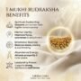 Benefits of rurdraksha