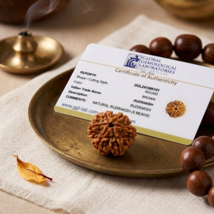 Authentic 6 Mukhi Nepali Rudraksha bead with six distinct natural grooves and a rich dark brown texture from lakshya gems mumbai