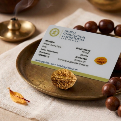 Authentic 2 Mukhi Rudraksha bead featuring two distinct natural grooves and a high-quality dark brown finish from lakshya gems mumbai