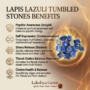 A collection of polished Lapis Lazuli crystal tumbles featuring a deep royal blue color and golden pyrite flecks.