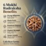 Benefits of Rudraksha