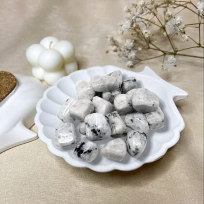 Polished Moonstone tumble stones with a soft milky white glow for intuition and calm.