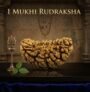 1 mukhI Rudraksha
