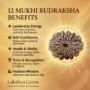 Benefit of Rudraksha