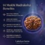 benefits of Rudraksha