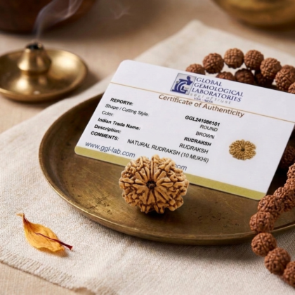 Authentic 10 Mukhi Nepali Rudraksha bead with ten distinct natural grooves and a high-quality polished finish