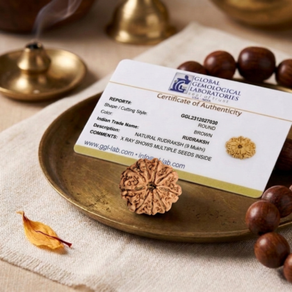 Authentic 9 Mukhi Nepali Rudraksha bead with nine distinct, deep natural grooves and a dark brown texture from lakshya gems