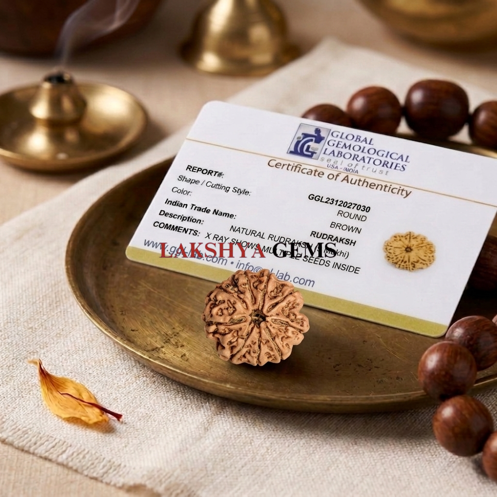 Authentic 9 Mukhi Nepali Rudraksha bead with nine distinct, deep natural grooves and a dark brown texture from lakshya gems