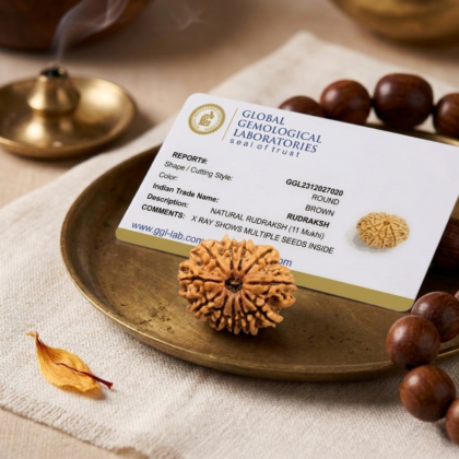 Authentic 11 Mukhi Nepali Rudraksha bead with eleven distinct, deep natural grooves and a high-luster finish from lakshya gems mumbai