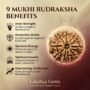 Benefits of Rudraksha