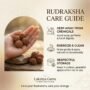 Rudraksh care best Rudraksha shop in Mumbai