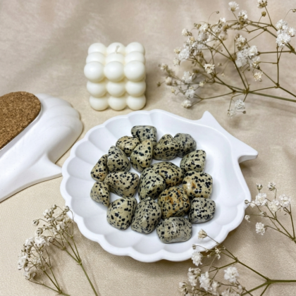 A collection of polished Dalmatian Jasper crystal tumbles featuring a cream-colored base with distinct black spots.