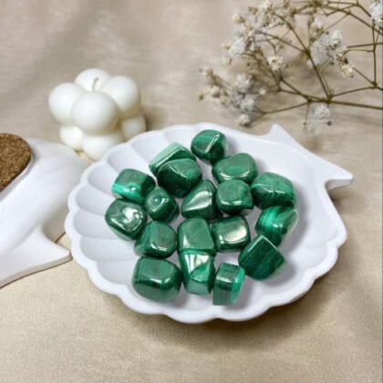 A collection of polished Malachite crystal tumbles featuring deep forest-green concentric bands and unique swirl patterns