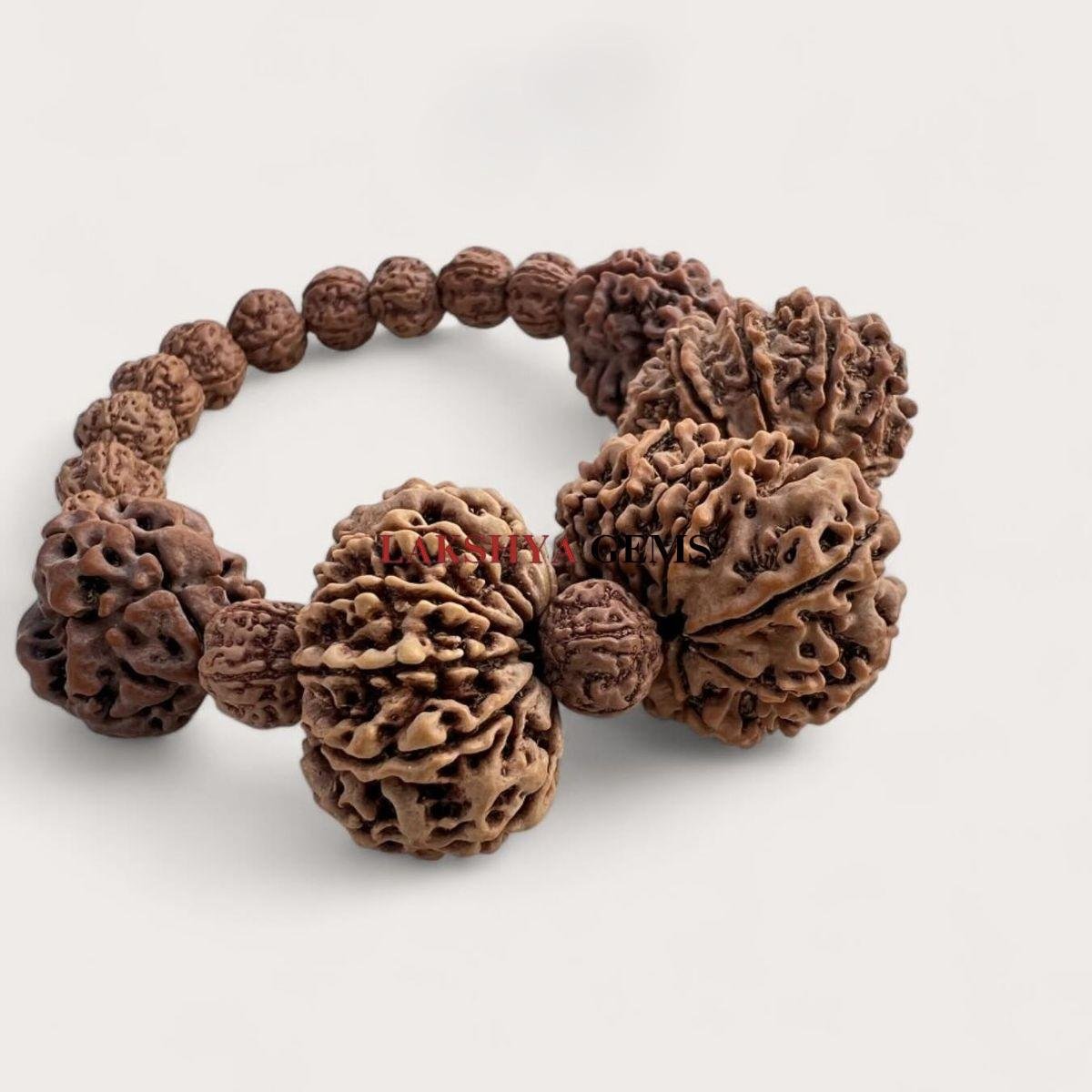 Rudraksha