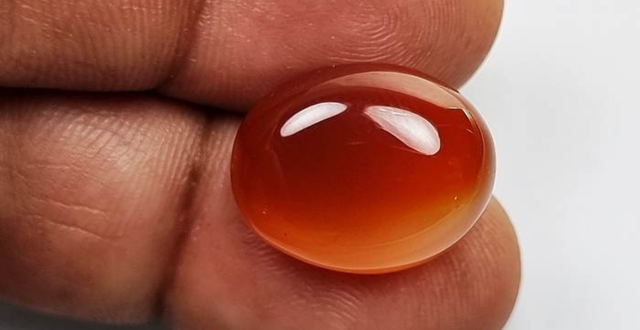 13_20241030_122309_0012