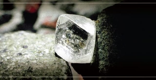 WhatsApp Image 2024-10-29 at 3.36.49 PM